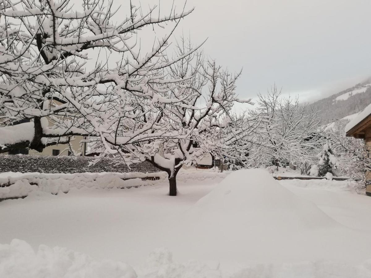 Ferienwohnungen Egger Mayrhofen Exterior foto